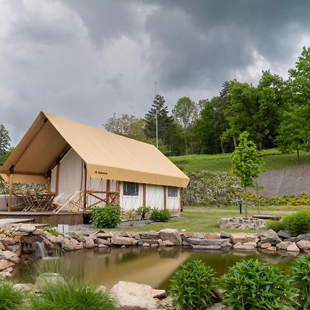 Forrest Glamping Hotel Banská Štiavnica Екстериор снимка