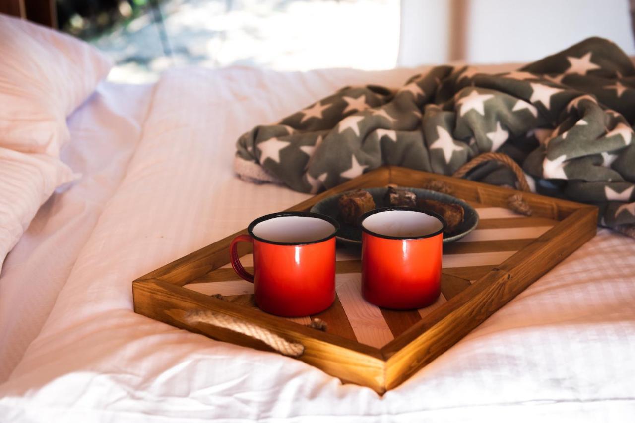 Forrest Glamping Hotel Banská Štiavnica Екстериор снимка